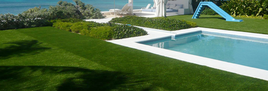 Commercial Turf